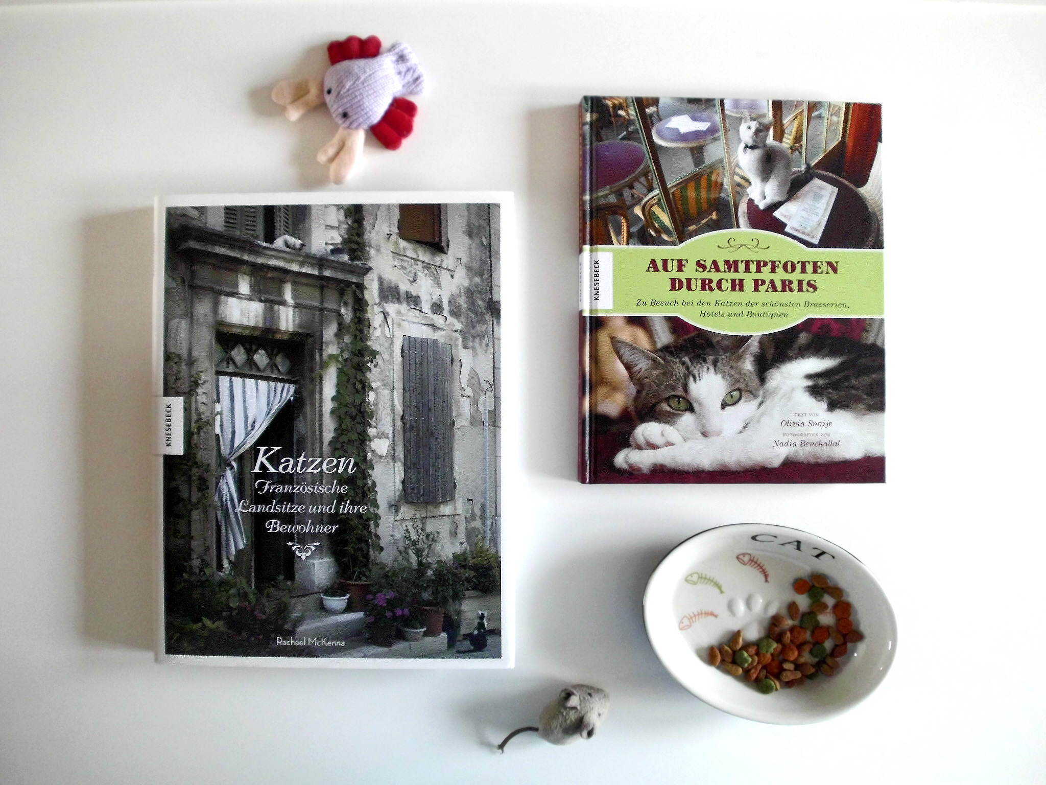 Katzen in Frankreich.JPG